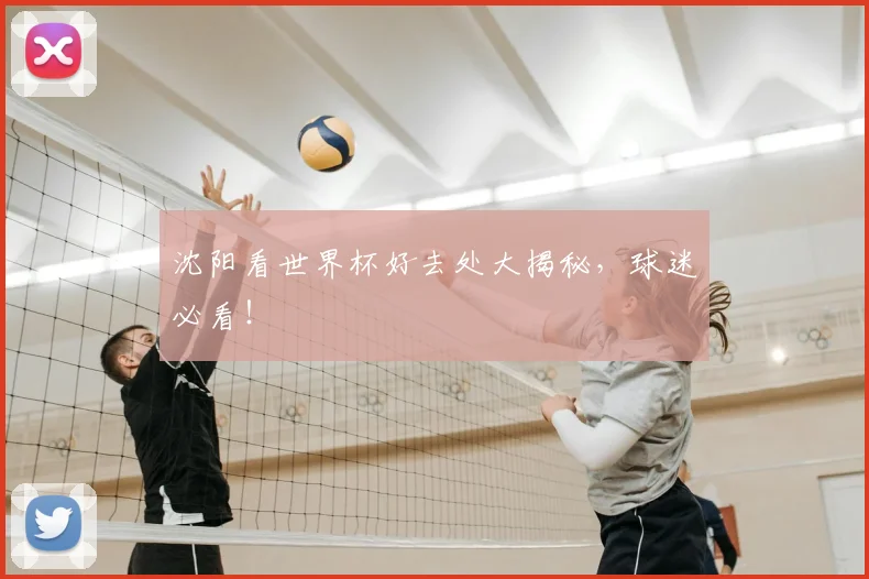 沈阳看世界杯好去处大揭秘，球迷必看！