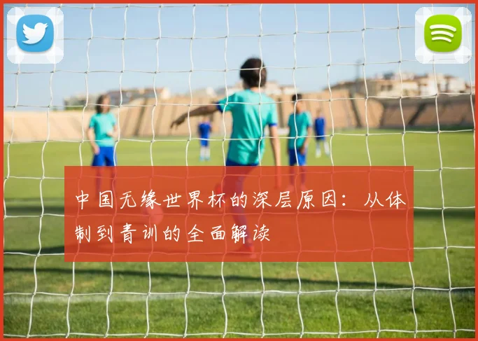 中国无缘世界杯的深层原因：从体制到青训的全面解读