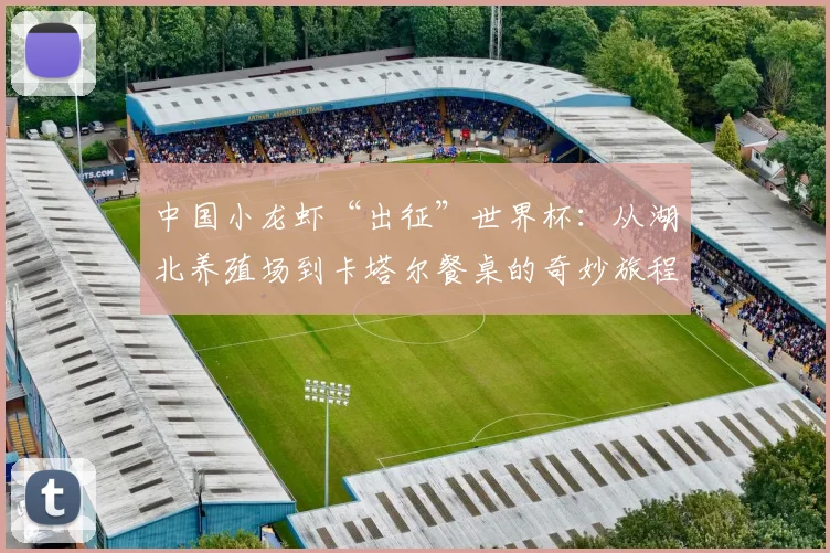中国小龙虾“出征”世界杯：从湖北养殖场到卡塔尔餐桌的奇妙旅程