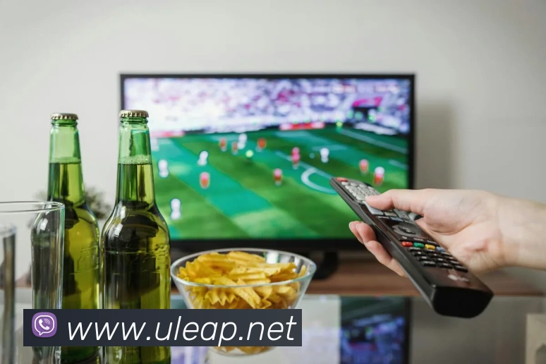 App Interface Preview